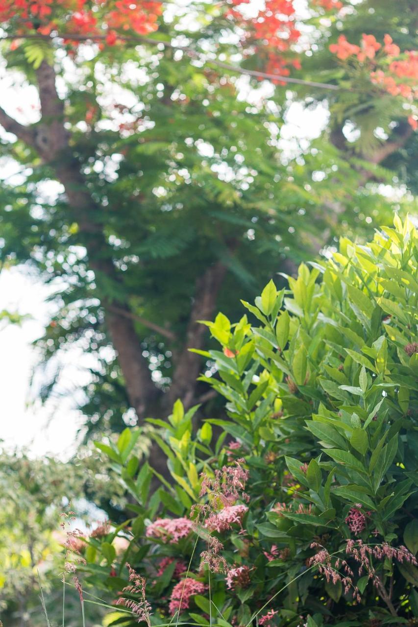 Pousada Solar Tropical 사콰레마 외부 사진