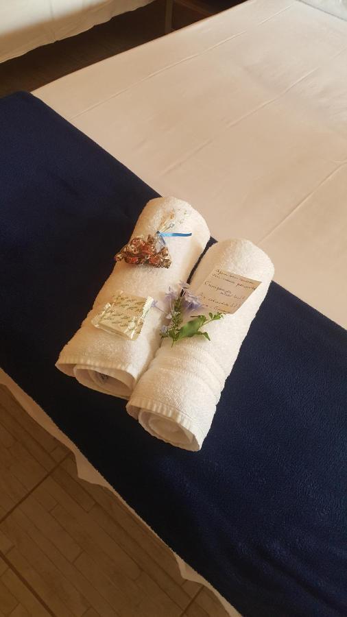 Pousada Solar Tropical 사콰레마 외부 사진
